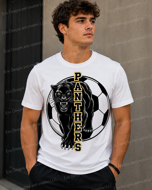 Perry Panthers