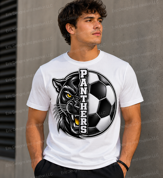 Perry Panthers